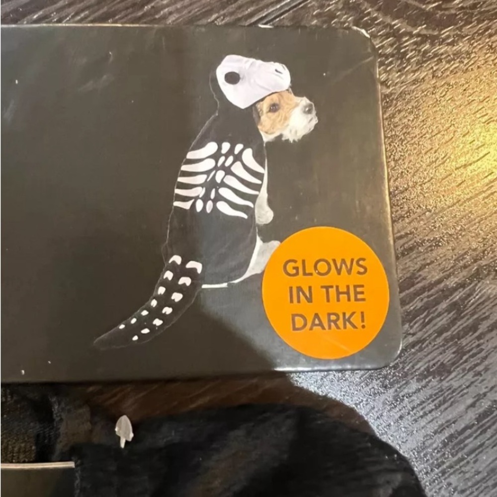 Halloween Dinosaur Skeleton Pet Costume
